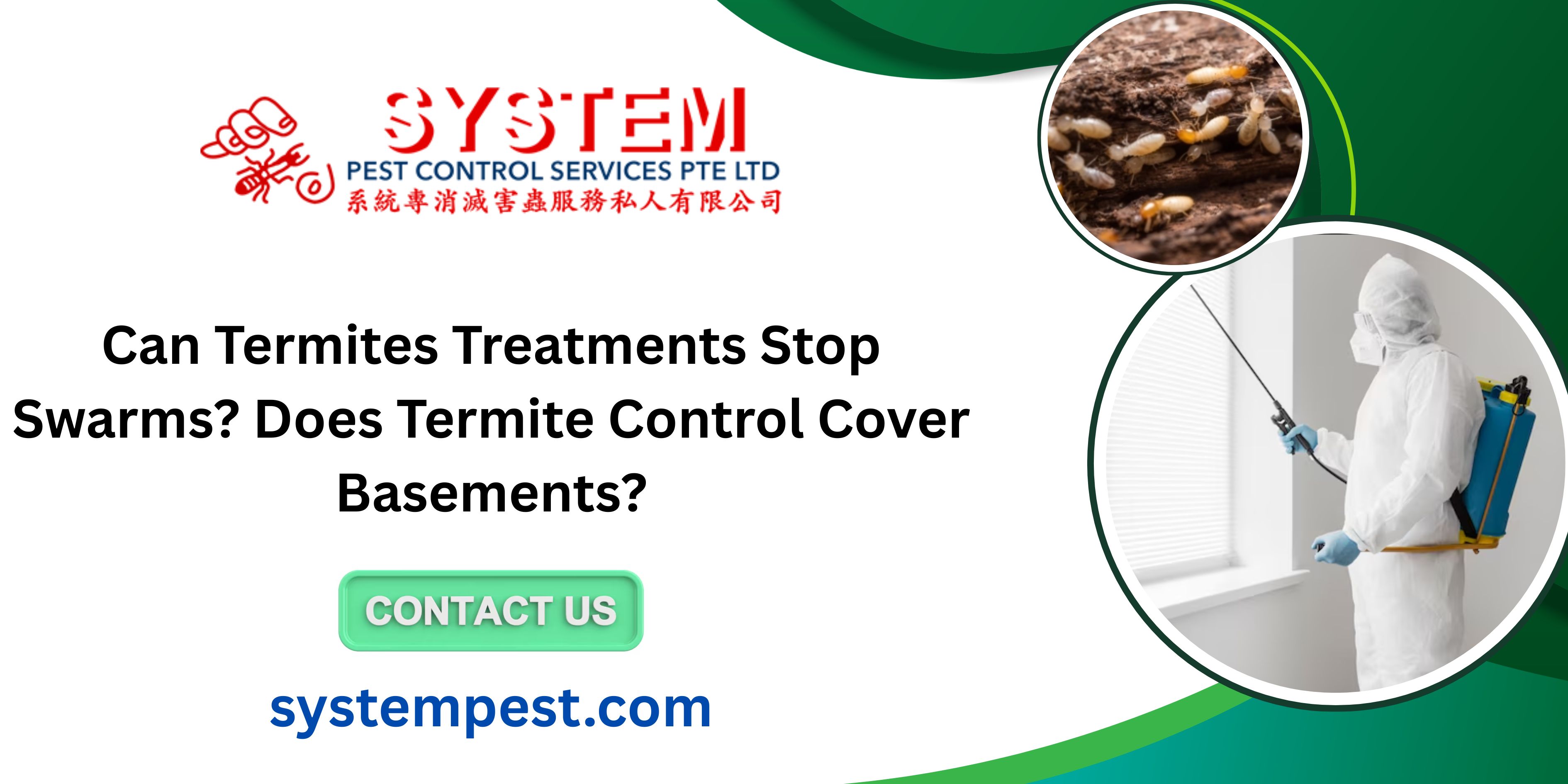 Can Termites Treatments Stop Swarms? Does Termite Control Cover Basements?